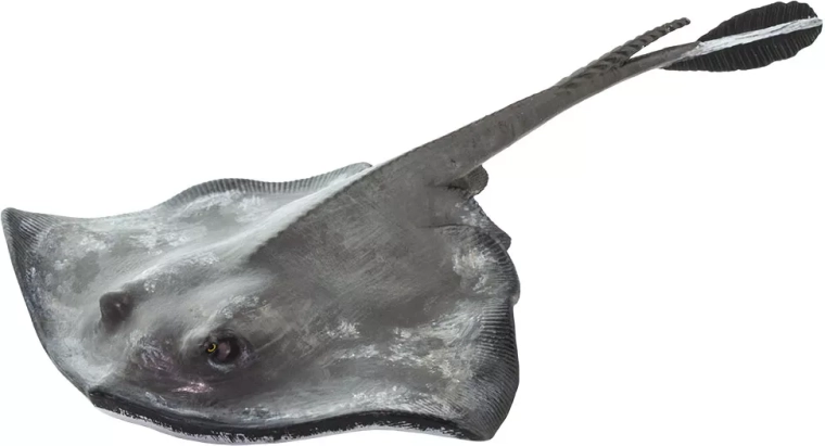 Safari Ltd. dzeloņrajas figūriņa – 1 gab.