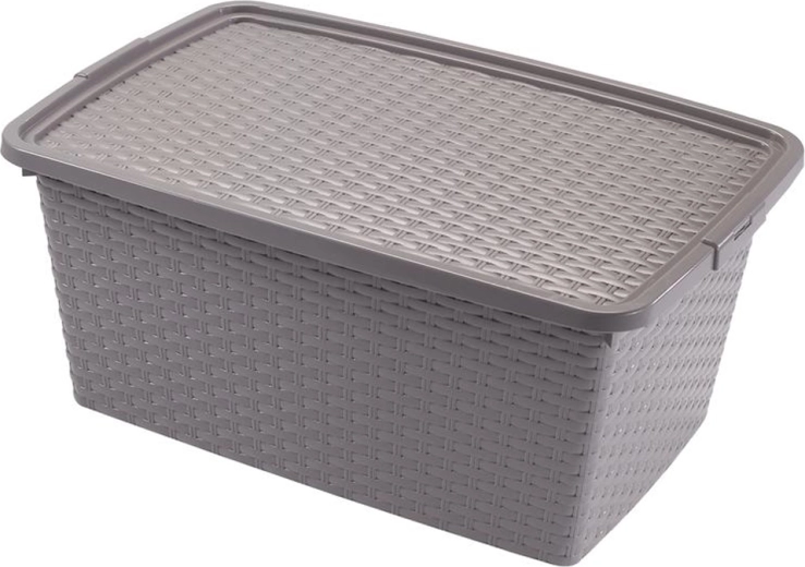 Plastmasas uzglabāšanas kaste ar vāku Heidrun Rattan, 20 l