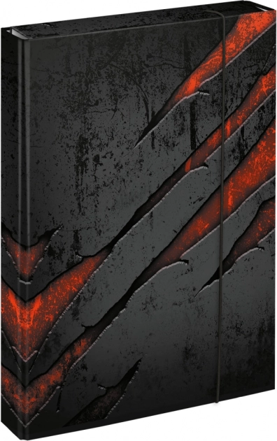 Baagl A4 Jumbo Lava school notebook folder