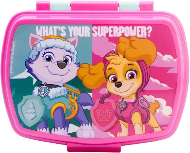Paw Patrol snack box