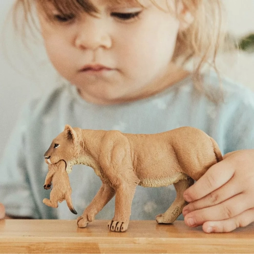 Ideāli spēlei, mācībām un kolekcionēšanai