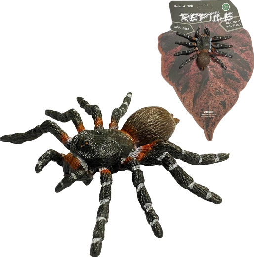 Dzīvā daba: reālistisks zirnekļa modelis White Knee Spider (8 cm) - 1 gab.