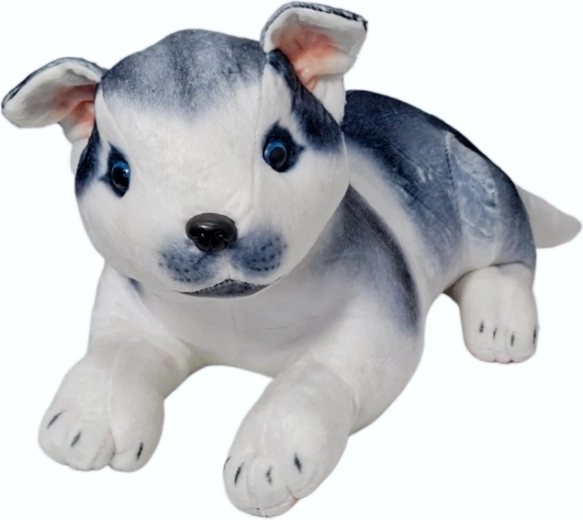 Plush husky dog