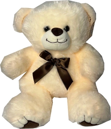 Cream Plush Teddy Bear 28 cm