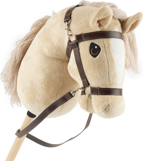 Iemaukti un groži hobby horsing