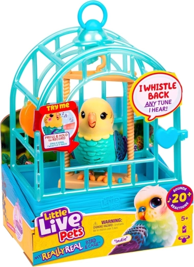 Cage with carrying handle