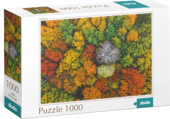 Puzle DODO Dzembronya, Ukraina – 1000 gabaliņu