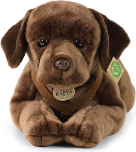 ECO‑FRIENDLY pildījums no PET pudelēm