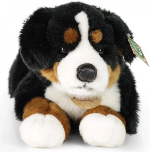 Soft plush for cuddling from birth