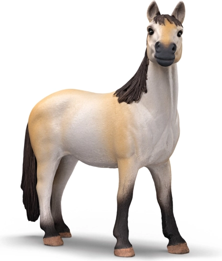 Beautiful mustang mare