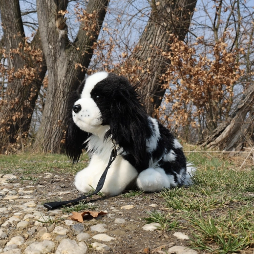 Leash for pretend walks