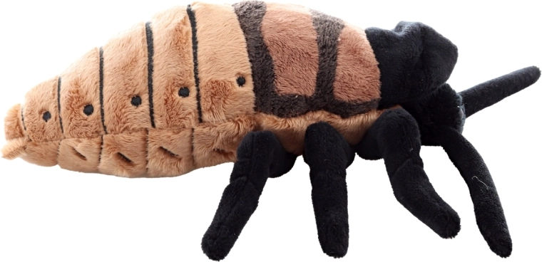 Reālistisks dizains ar detalizētu izpildījumu