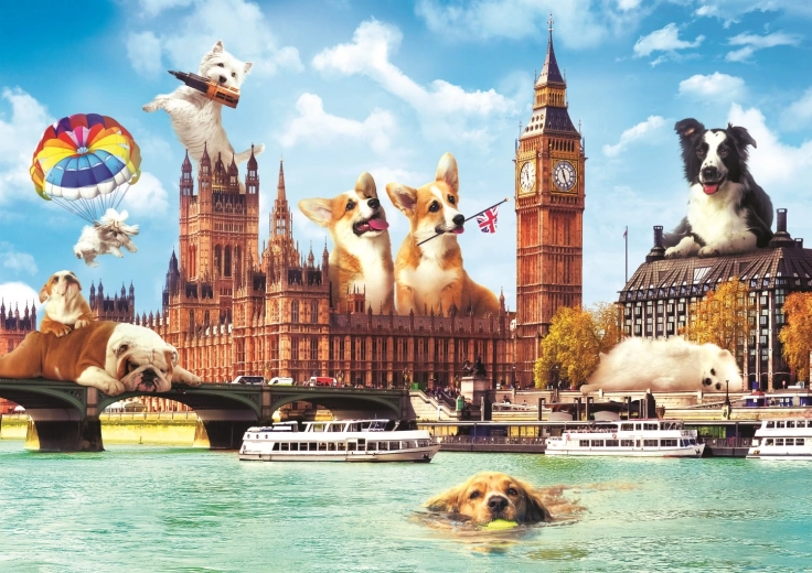 Puzzle 1000 Pieces Dogs in London