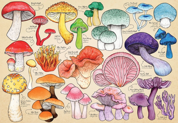 Mushroom Mania Puzzle 1000 Pieces