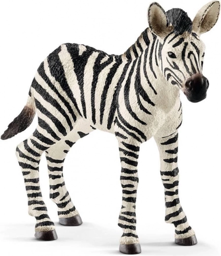 Schleich Wild Life zebras mazulis figūriņa