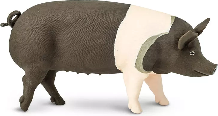 Hampshire cūkas figūriņa Safari Ltd. – 1 gab.