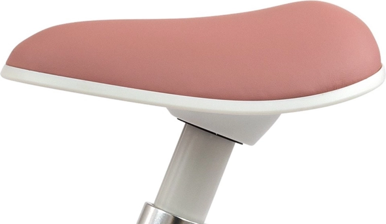 Comfortable adjustable saddle