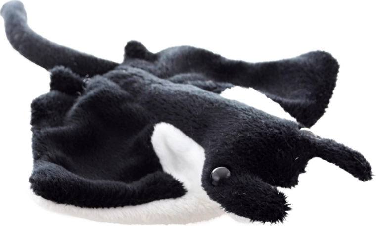 Realistic manta ray shape