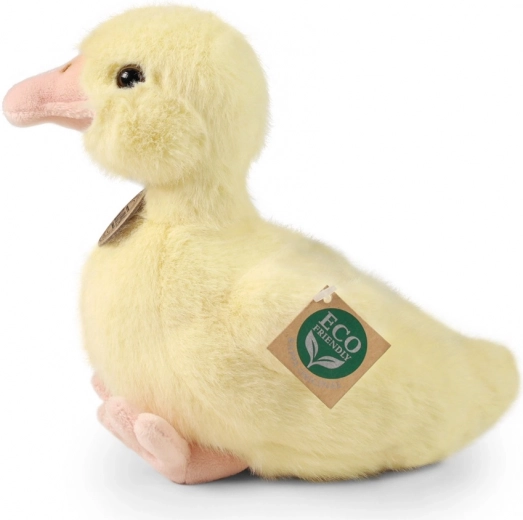 Videi draudzīgs pildījums no pārstrādātām PET pudelēm