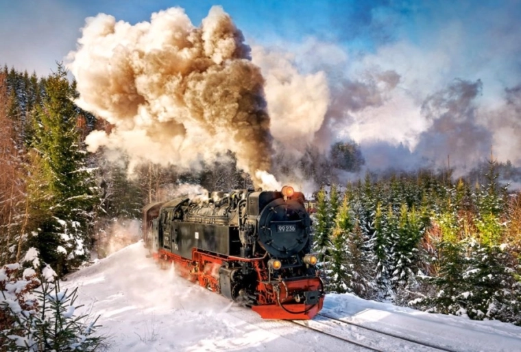 Puzle 1000 detaļas Steam Train