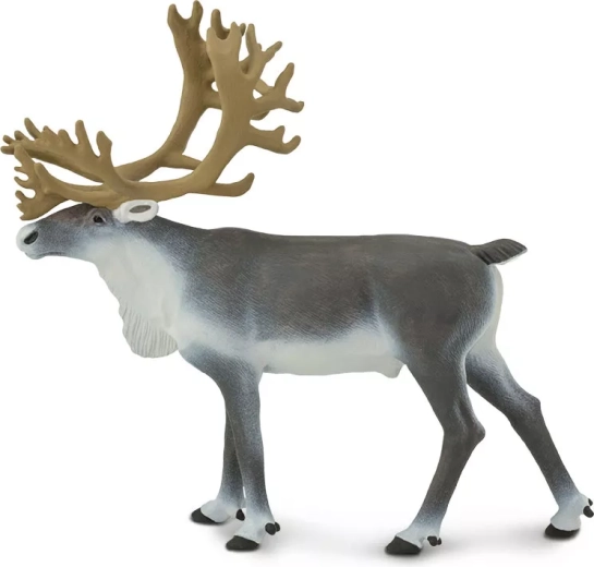 Arctic Reindeer Safari Ltd. - 1 piece