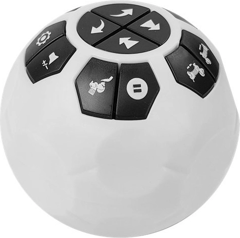 Ball-shaped controller