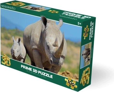 3D puzle "Degunradži" (100 detaļas)