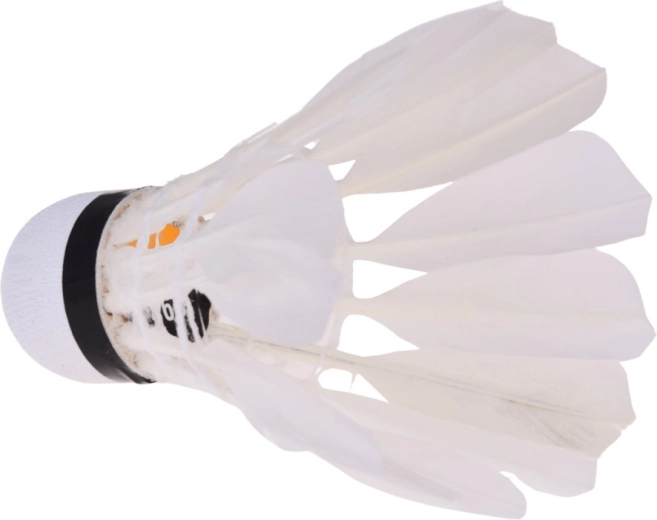 Natural feathers for stable flight