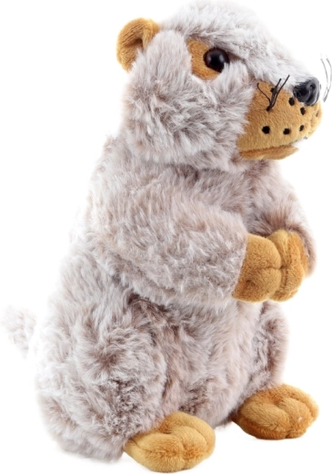 Ideāls izmērs bērnu rociņām