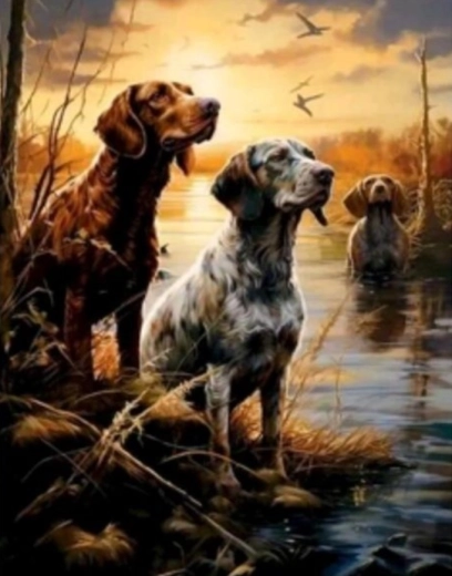 Diamond Painting Wetlands 30 × 40 cm