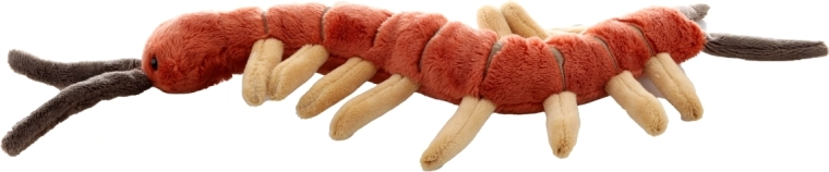 Ideāls izmērs mājām un ceļojumiem