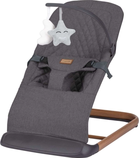Freeon Serene bērnu šūpuļkrēsliņš Grey