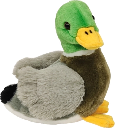 Pīlēns 18 cm