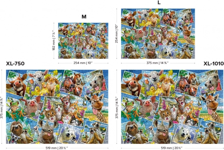 Divpusēji gabali dubultam priekam