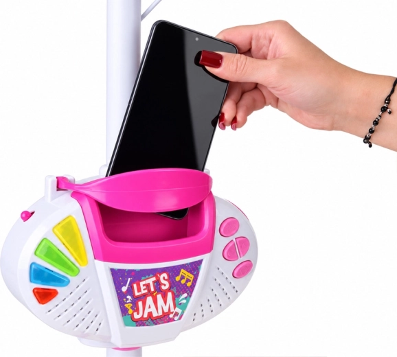Tālruņa turētājs un audio ieeja