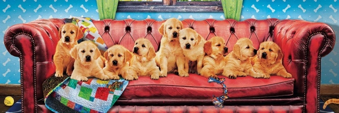 Panoramic Puzzle Labradors on a Dog Sofa 1000 Pieces