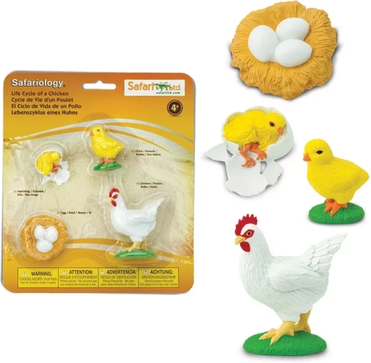 Safari Ltd. Life Cycle - Chicken