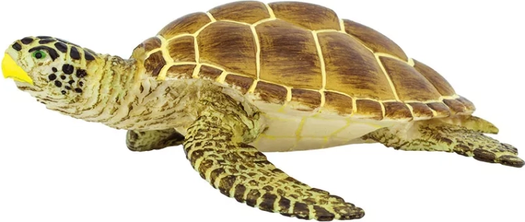 Safari Ltd. loggerhead sea turtle - 1 piece