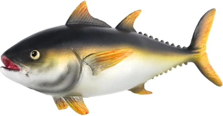 Realistic tuna design