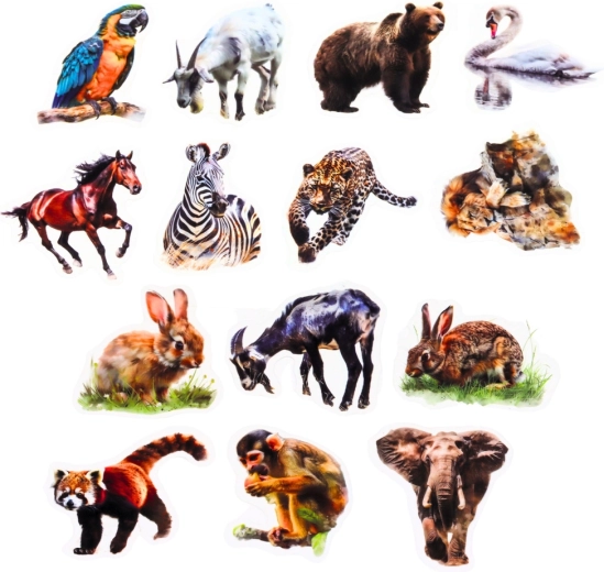 50 realistic animal designs