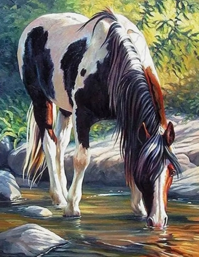 Gleznošana pēc numuriem – zirgs pie upes 40 × 50 cm