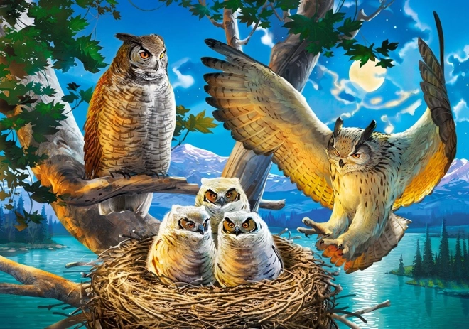 Puzzle 500 pieces - Owl Family