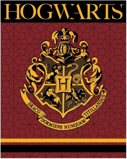 Harry Potter XL Fleece Blanket
