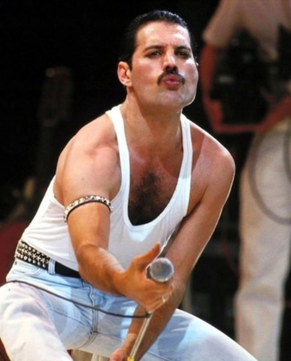 Dimantu gleznošana FREDDIE MERCURY 30 × 40 cm