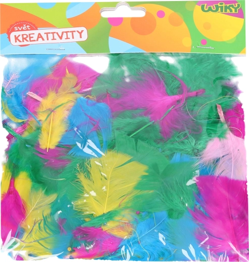 Creative set of decorative feathers – mix