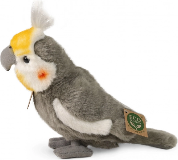 ECO-FRIENDLY pildījums no pārstrādāta PET