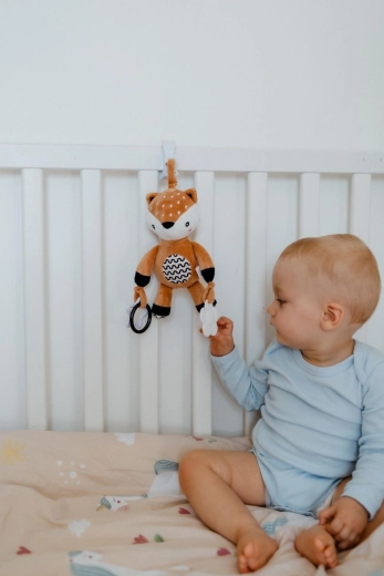 Gentle rattle for sensory development