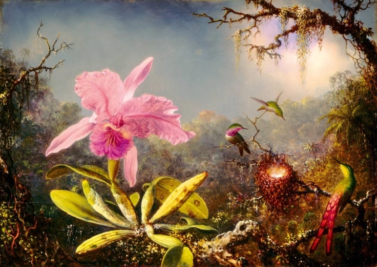 Bluebird Puzzle Cattleya and Three Hummingbirds 1000 pieces