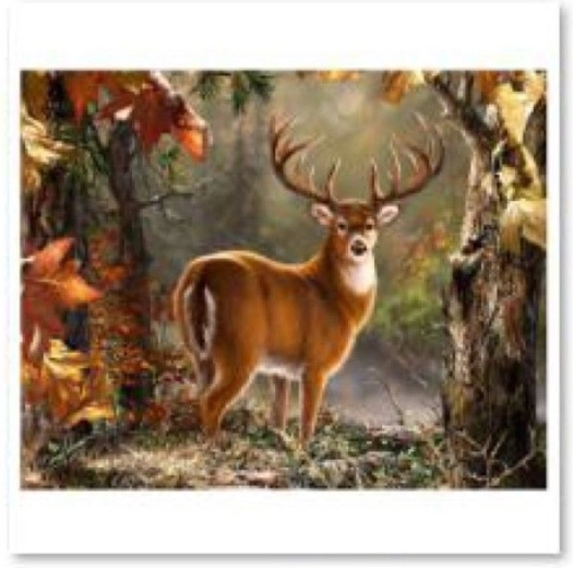 Dimanta gleznošana (diamond painting) – Staltais briedis 40 × 30 cm