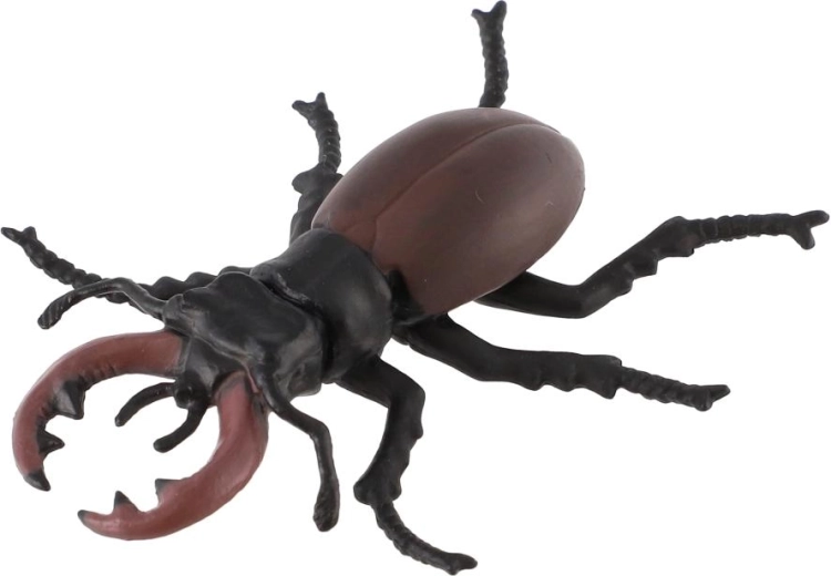 Prominent stag beetle mandibles